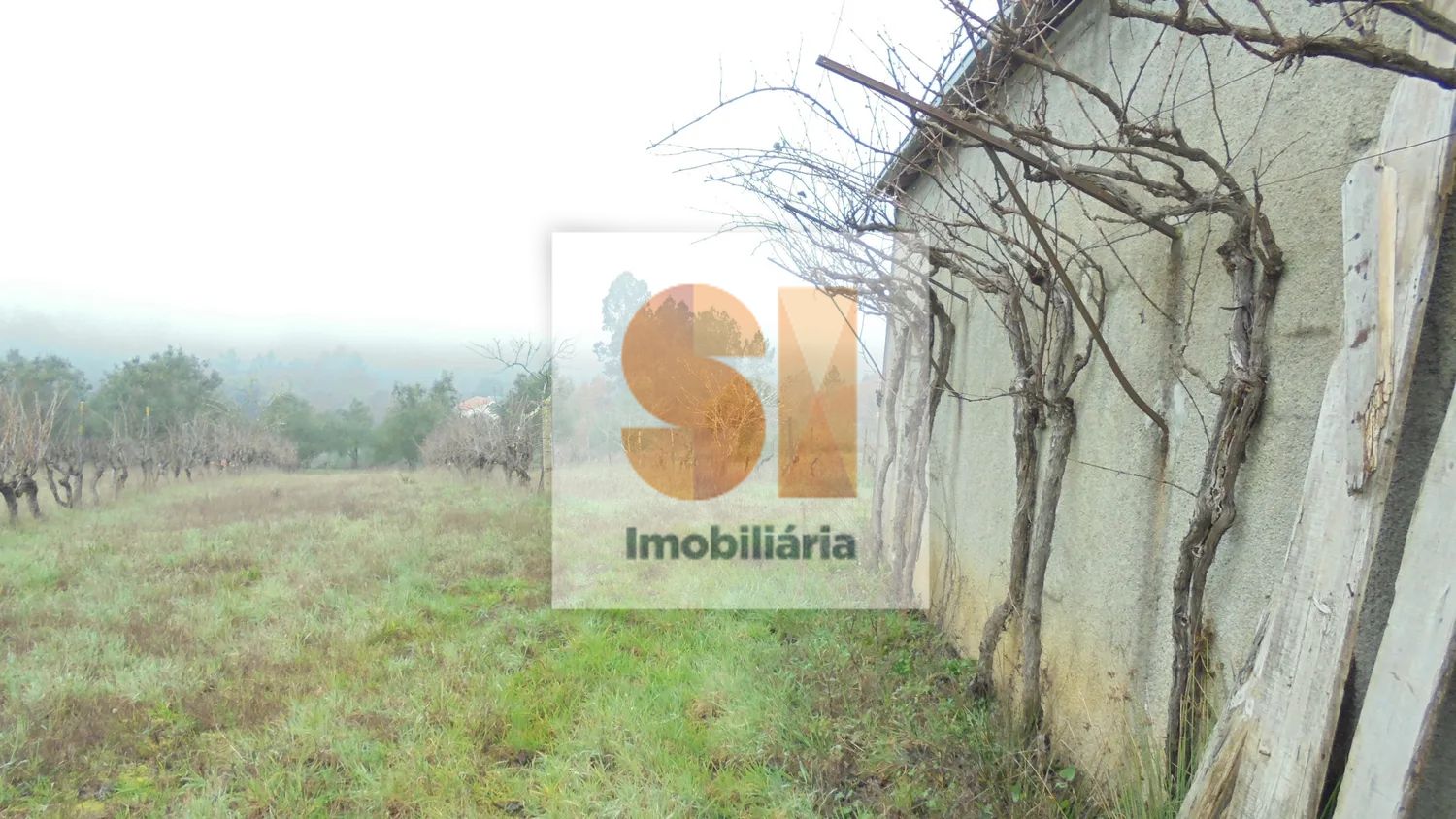 Terreno para construção / Vila Nova de Poiares - 3