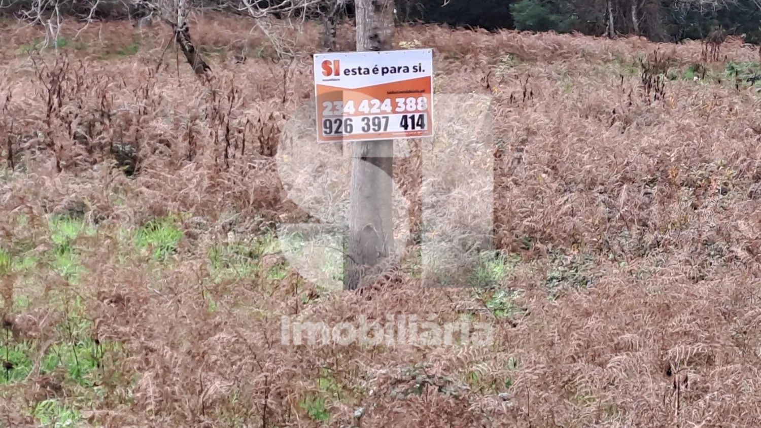 Terreno Oliveirinha - Aveiro