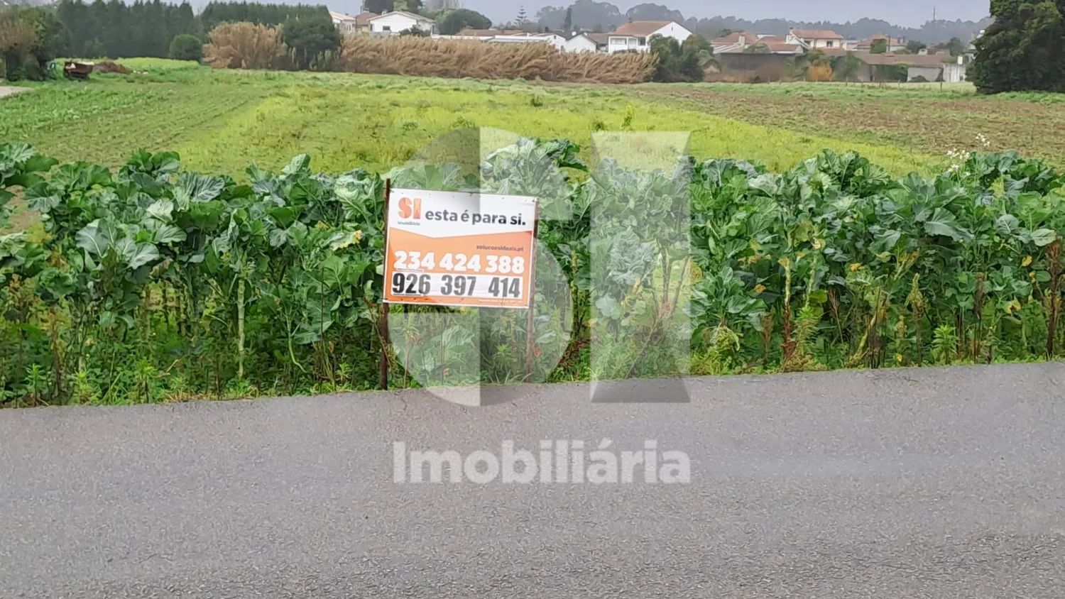 Terreno Oliveirinha - Aveiro - 2