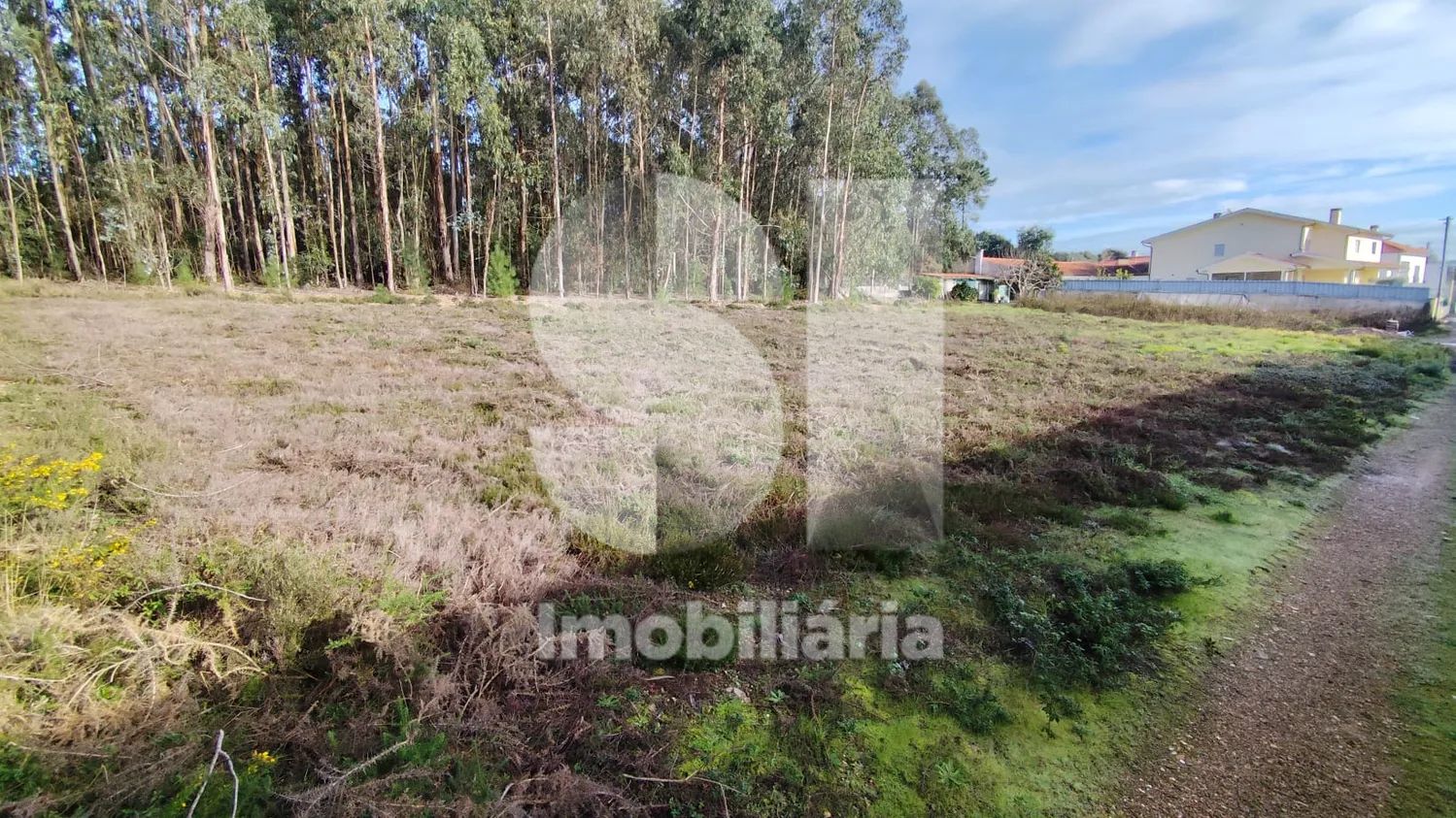 Terreno Urbanizável 1654 m2 60 m de frente voltado a sul Aguim-Anadia