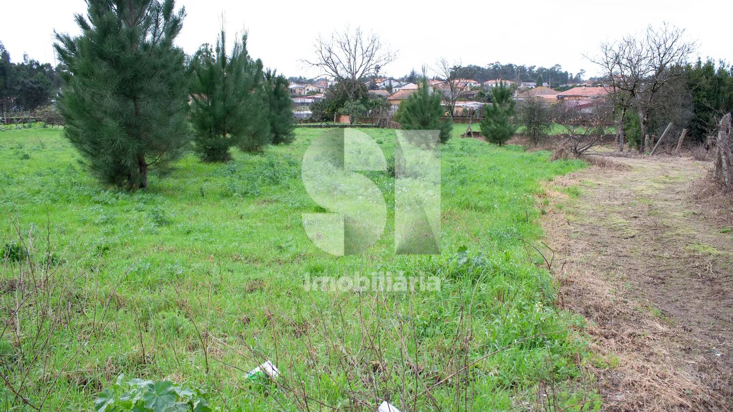 Terreno Urbanizável com 8270 m2 em Vila Verde, Oliveira do Bairro - 2