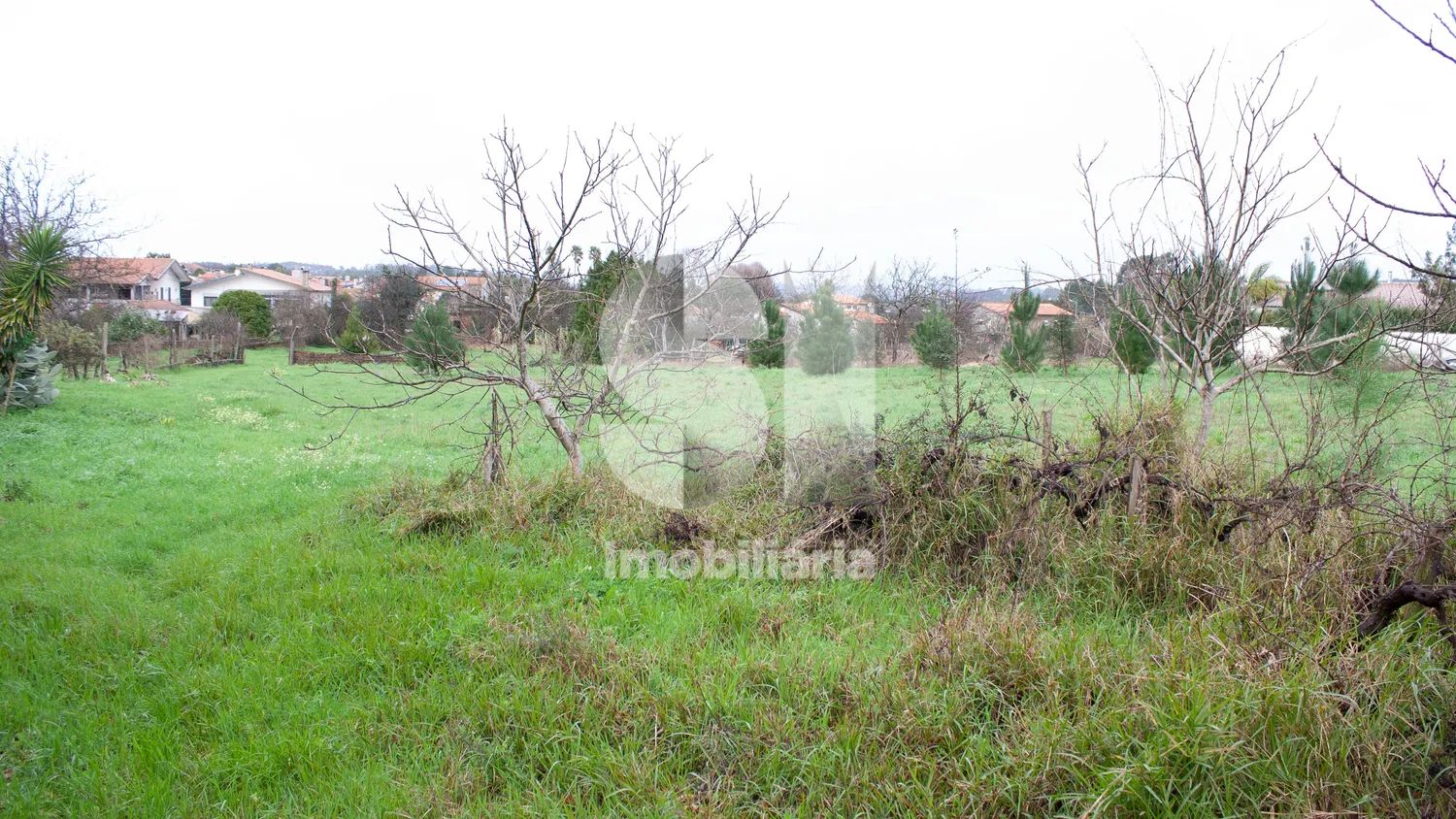 Terreno Urbanizável com 8270 m2 em Vila Verde, Oliveira do Bairro - 3
