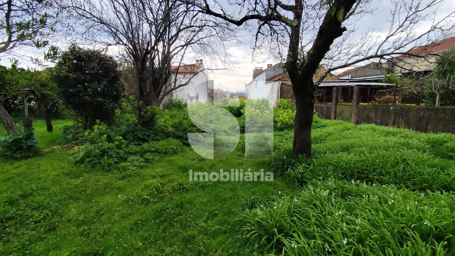 Terreno Urbano 750 m2 Mata da Curia