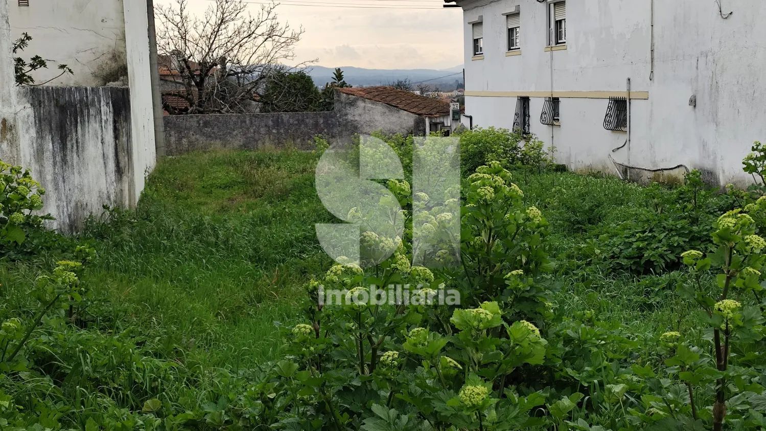 Terreno Urbano 750 m2 Mata da Curia - 2