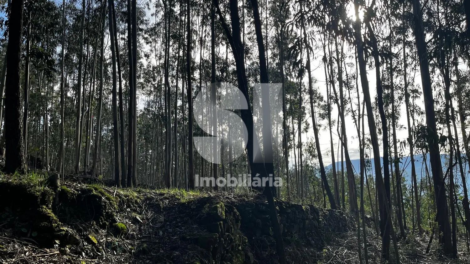 Vendo Terreno para Construção - 2.057m2 - 2