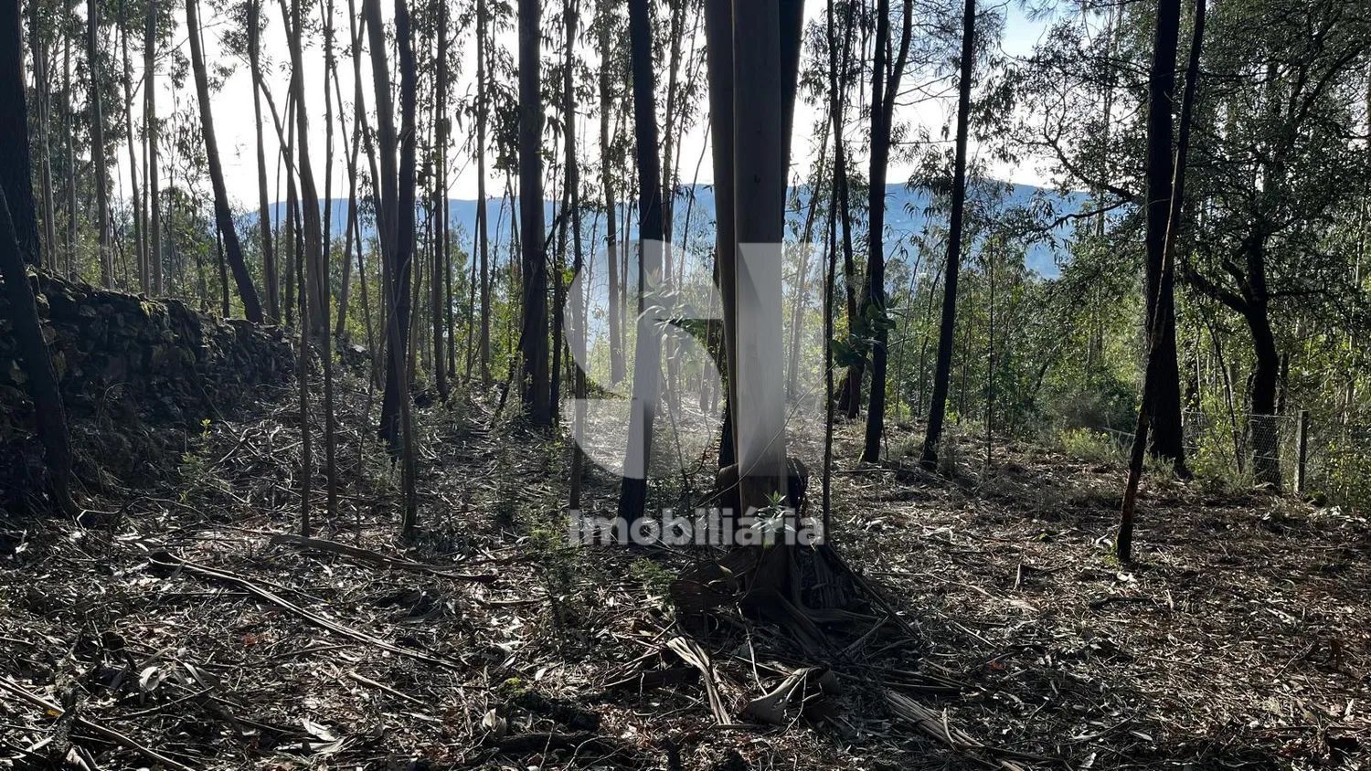 Vendo Terreno para Construção - 2.057m2 - 3