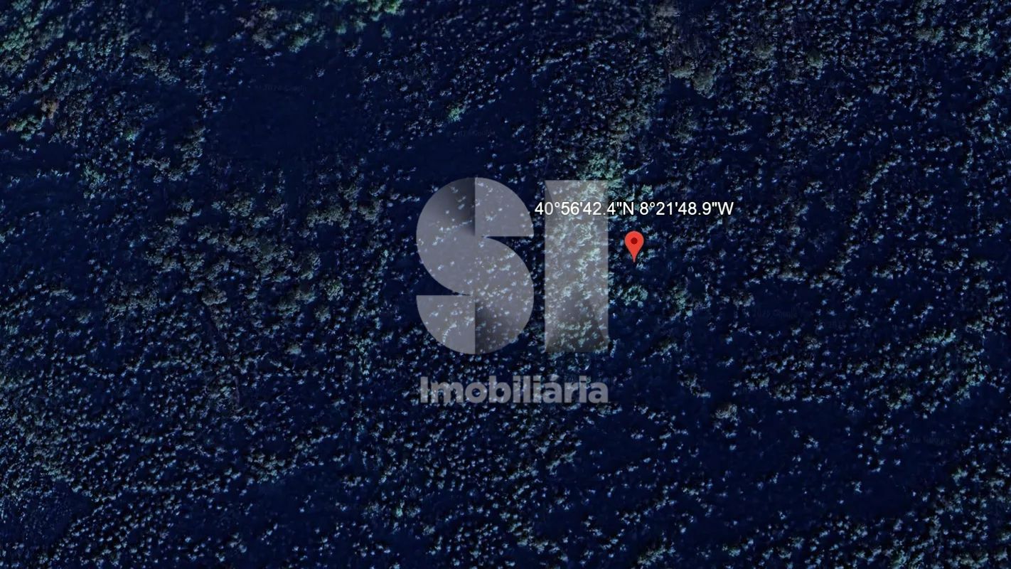 Terreno Rústico – 7.380 m² em Ambiente Natural - 3