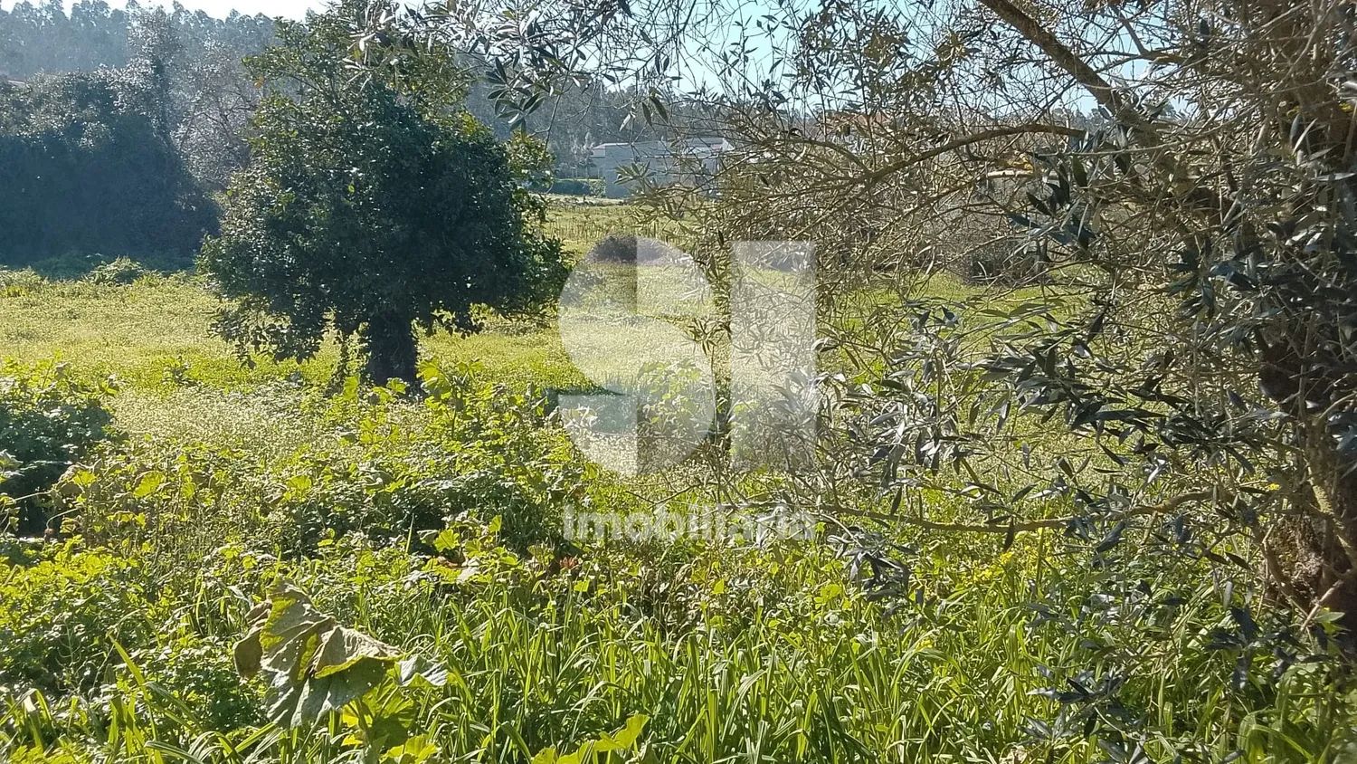 Terreno Urbano para Construção - 2