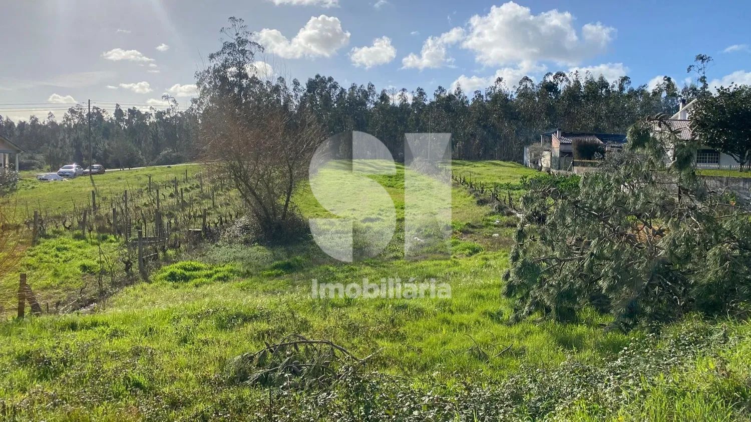 Terreno para construção | Pombal - 2