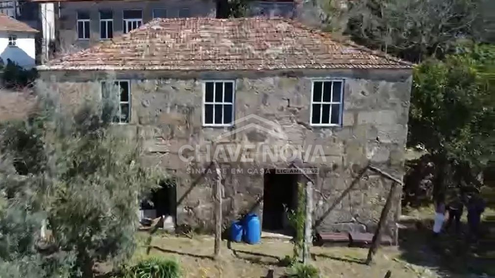 Quintinha c/ casa em pedra  em Baião (Frende) - 2