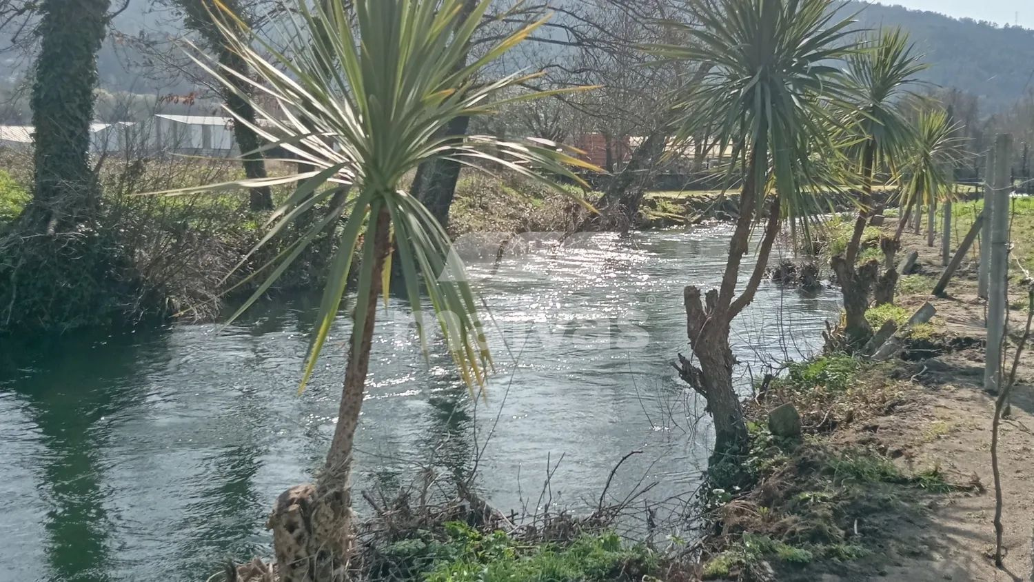 Terreno - Rio Vade - Nogueira, Ponte da Barca
