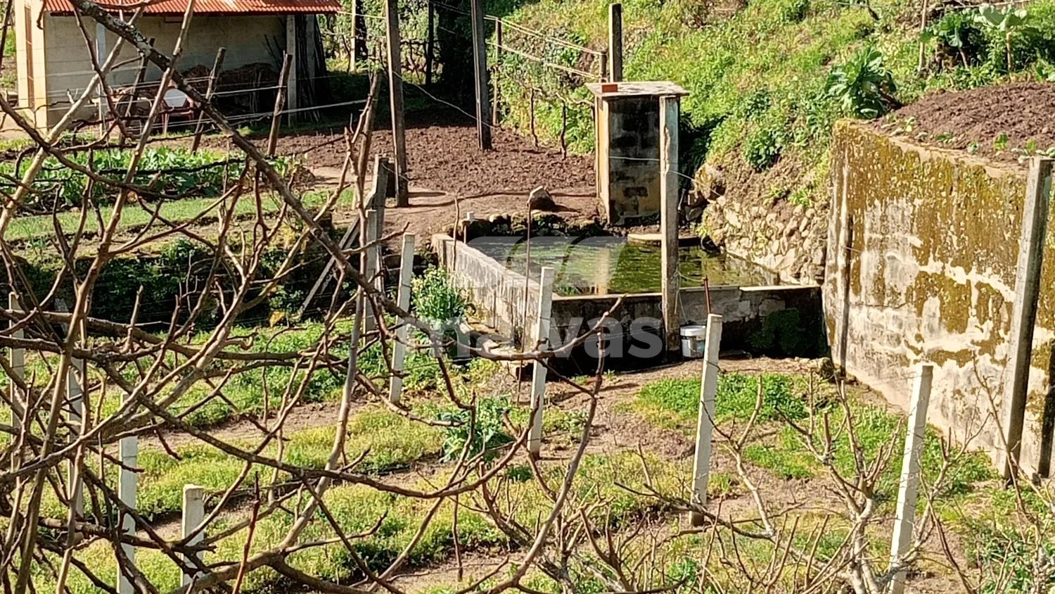 Terreno - Rio Vade - Nogueira, Ponte da Barca - 3