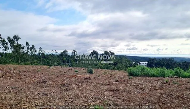 Terreno Industrial para venda em Sª Mª da Feira - 2