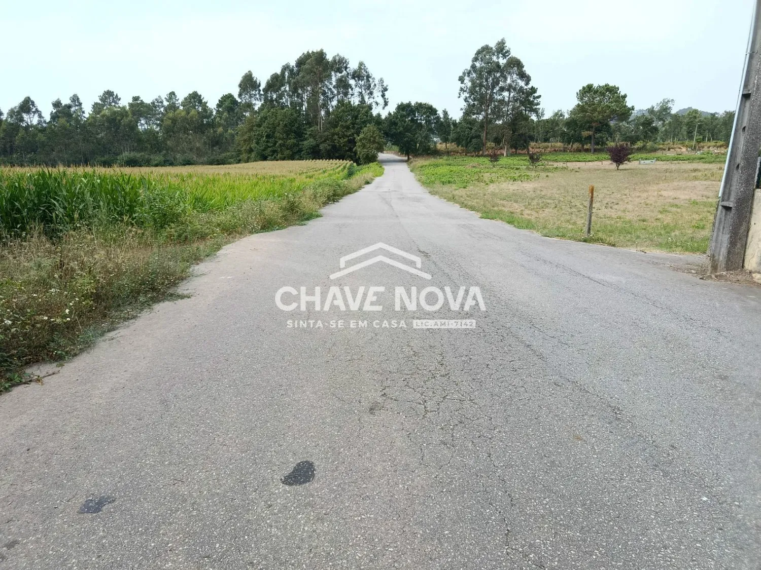 Terreno com PIP aprovado para construção em S. M. da Feira