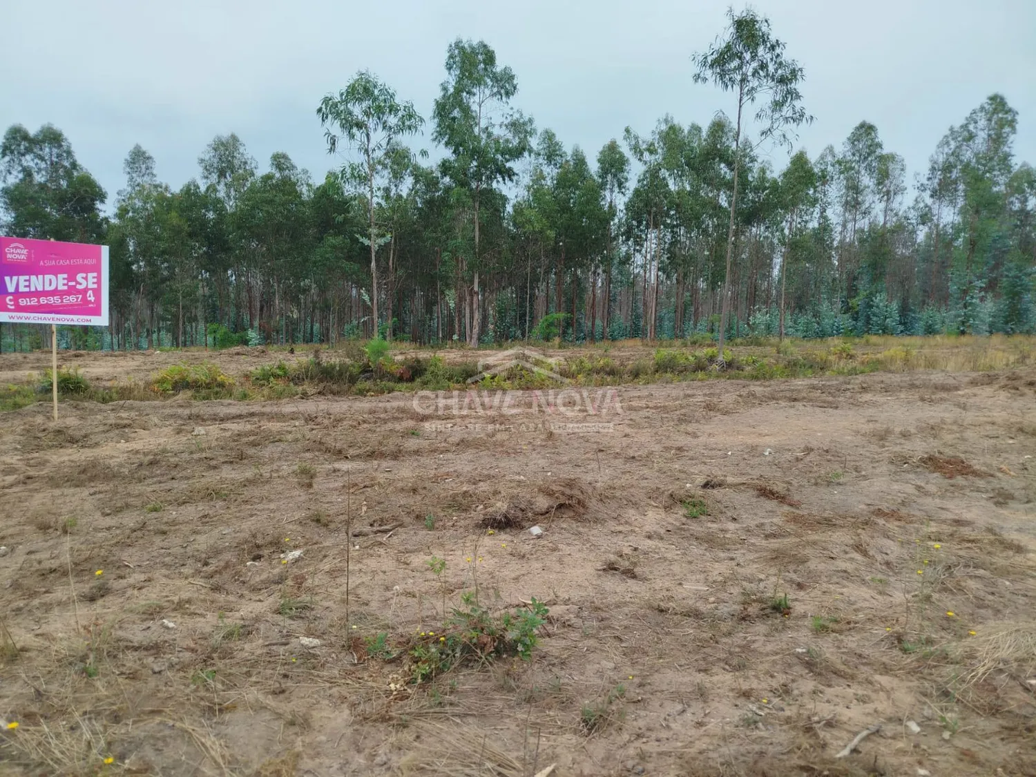 Terreno Industrial à Venda – Macinhata do Vouga