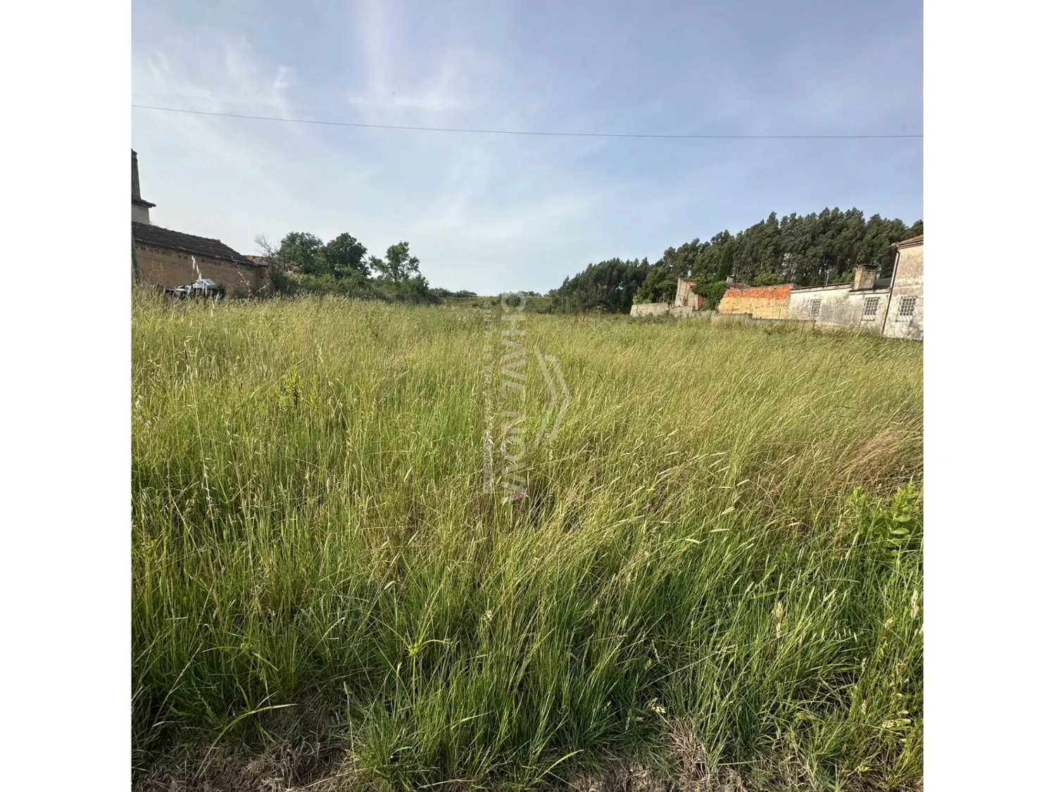 Terreno à Venda em Sangalhos | 60 000€ - 2