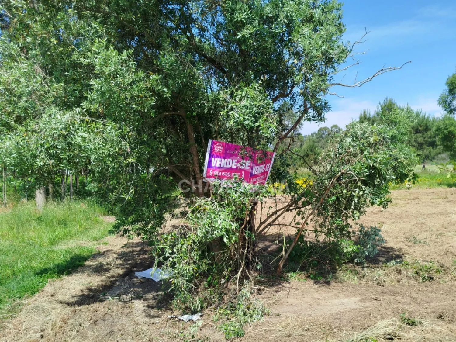 Terreno Urbano à Venda em Ouca – 47 000€ - 2