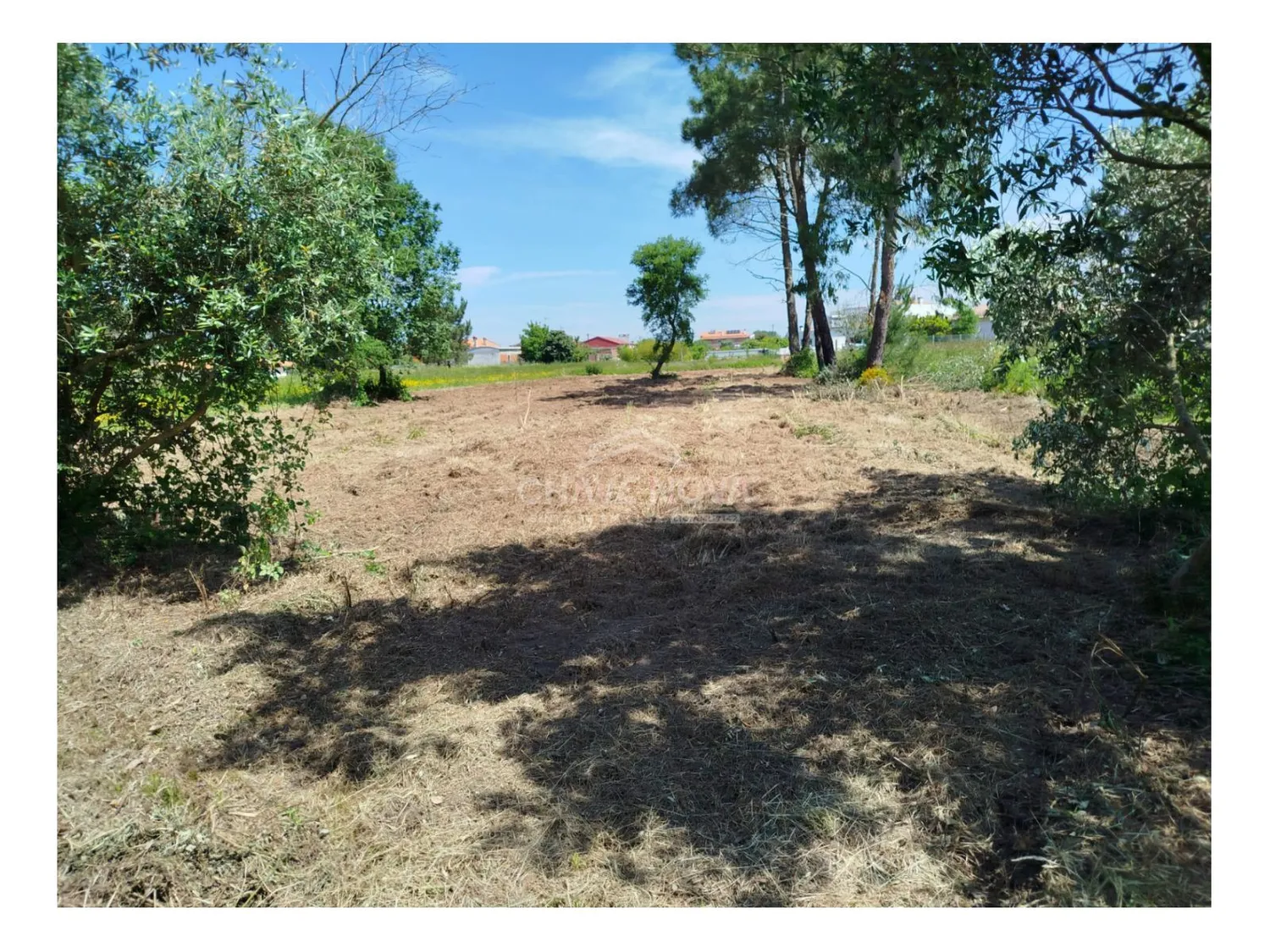 Terreno Urbano à Venda em Ouca – 47 000€ - 3