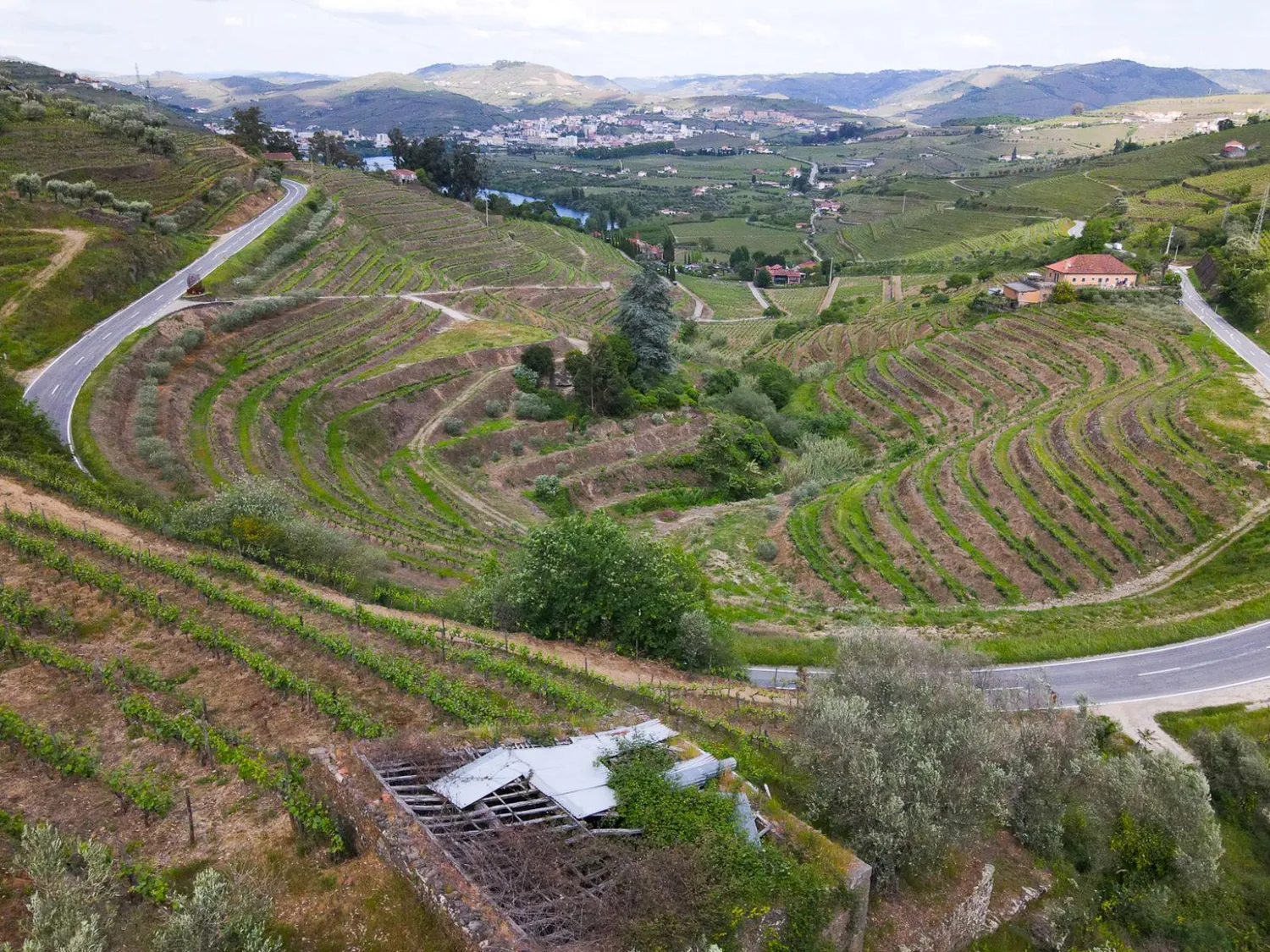 Land for a Tourism Housing Project in the Heart of the Douro