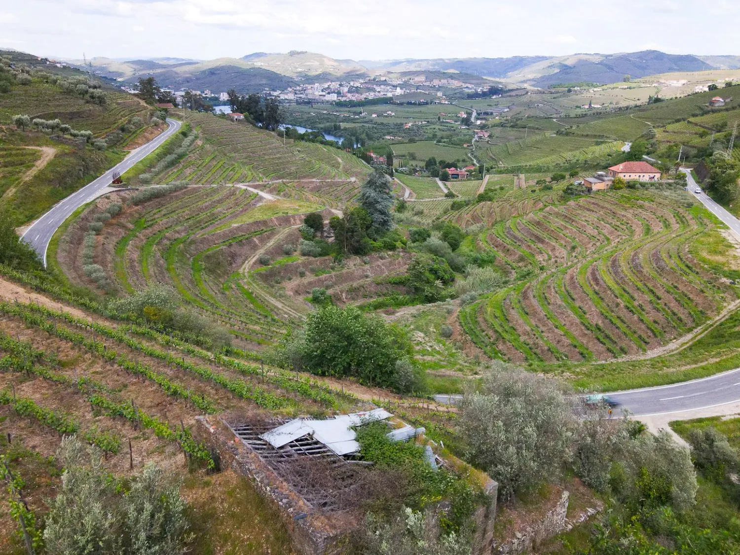 Land for a Tourism Housing Project in the Heart of the Douro - 2