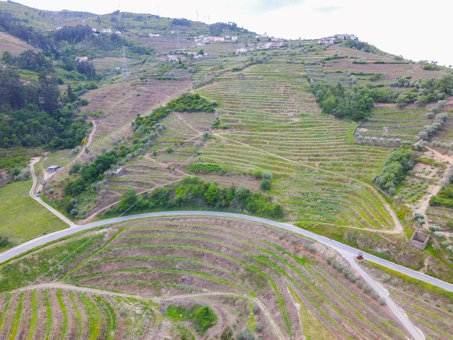 Land for a Tourism Housing Project in the Heart of the Douro - 3
