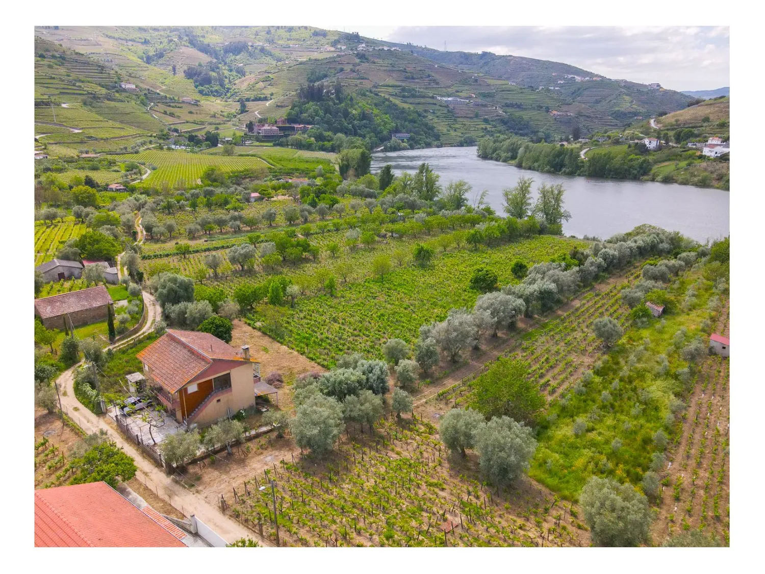 Vineyard estate with exclusive private access to the Douro River