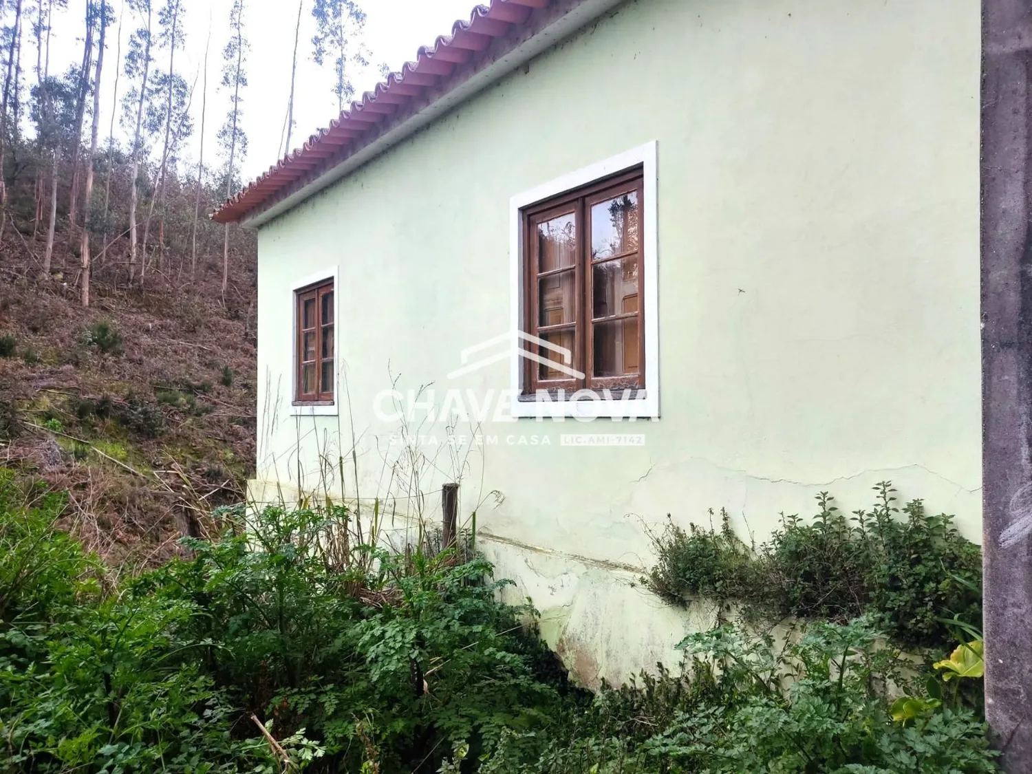 Quinta Independente P/Remodelar c/ Riacho e Moinho a 3min da Nacional 109 Estarreja