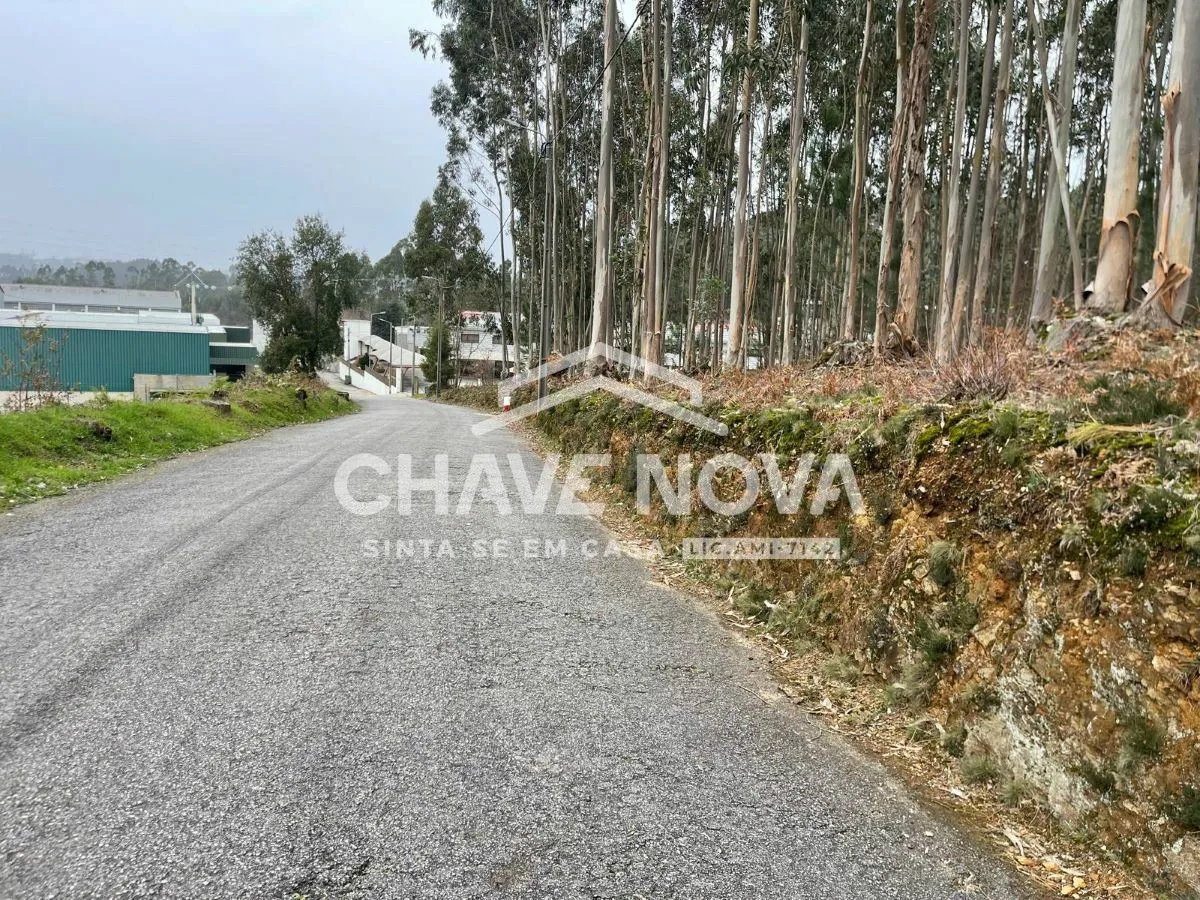 Terreno Urbanizável em São Roque