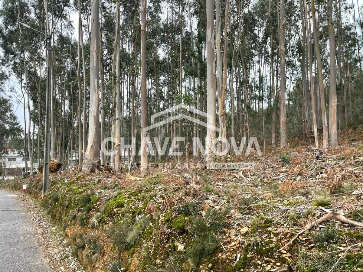 Terreno Urbanizável em São Roque - 3