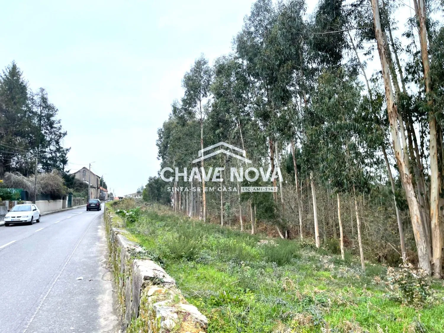 Terreno Urbanizável em Nogueira do Cravo