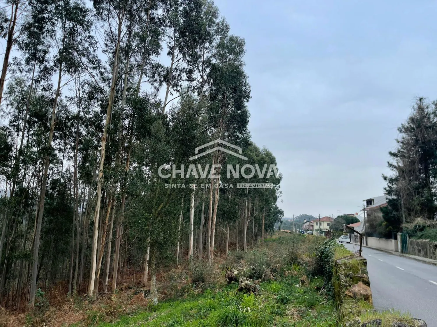 Terreno Urbanizável em Nogueira do Cravo - 2