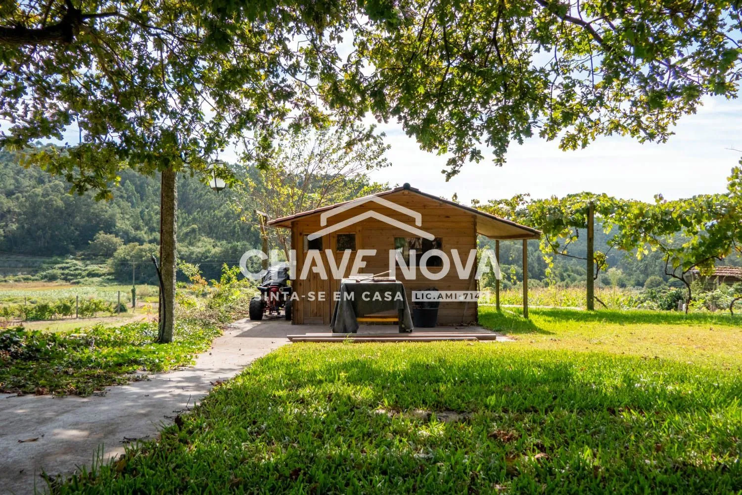 Moradia Isolada V3 com jardim - Vale de Cambra  - 2