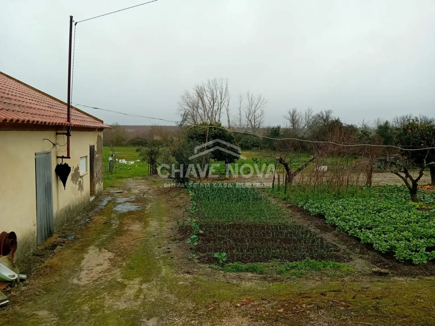 Quinta T4 - 3
