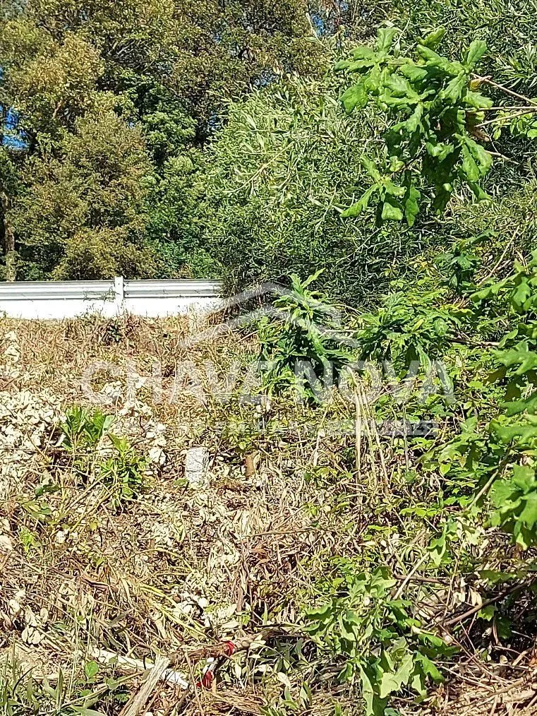 Terreno p/ construção - 2