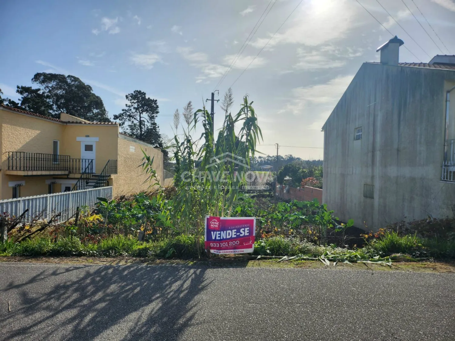 Terreno para Moradia em Santa Joana | Excelente Oportunidade!