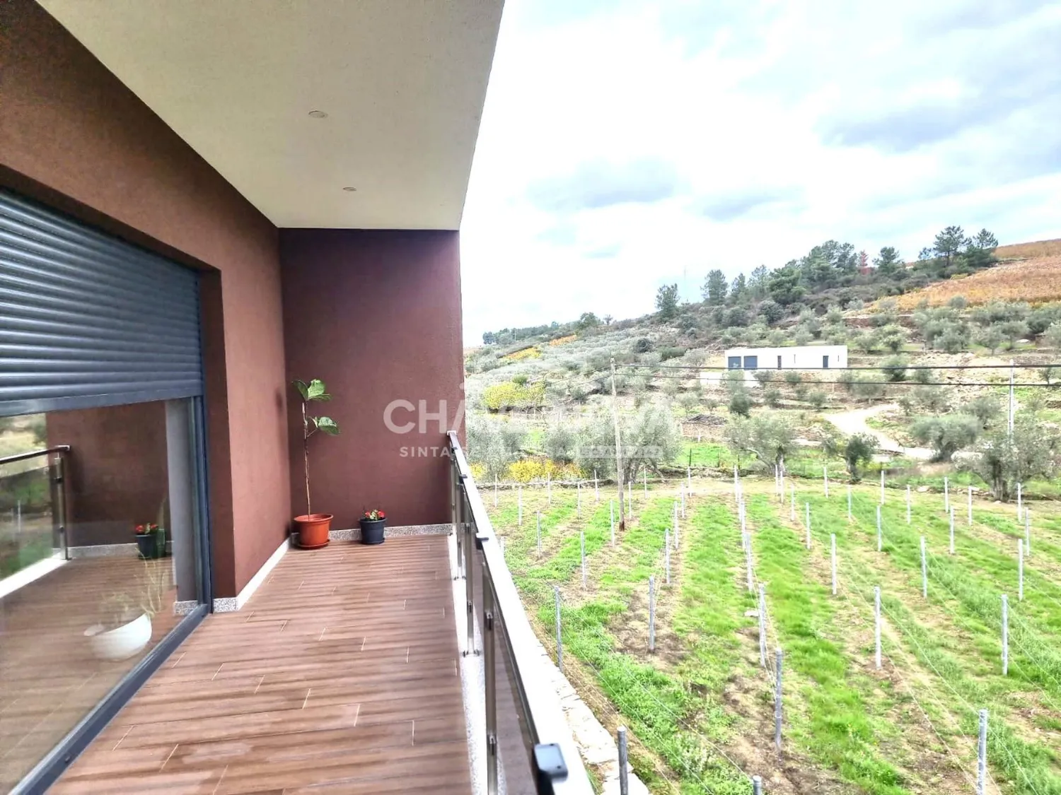 Moradia T3 inserida em Quinta com Vinha em Tabuaço, Viseu  - 2