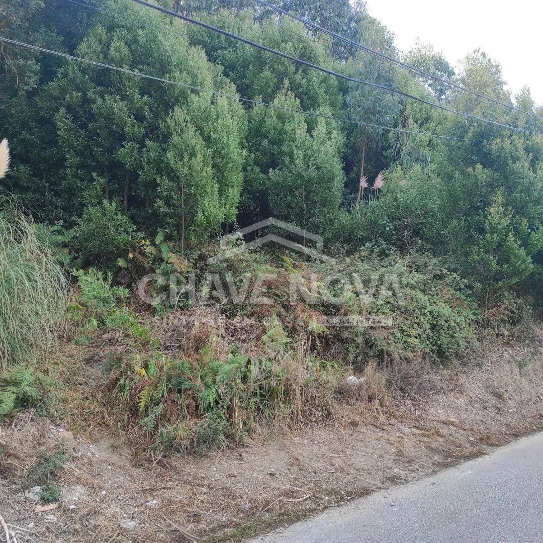 Terreno para construção de Moradias - 2