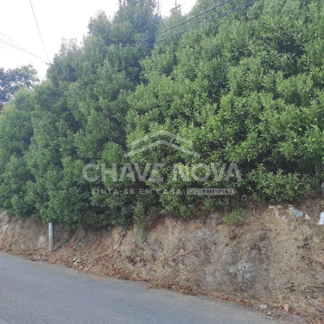 Terreno para construção de Moradias - 3