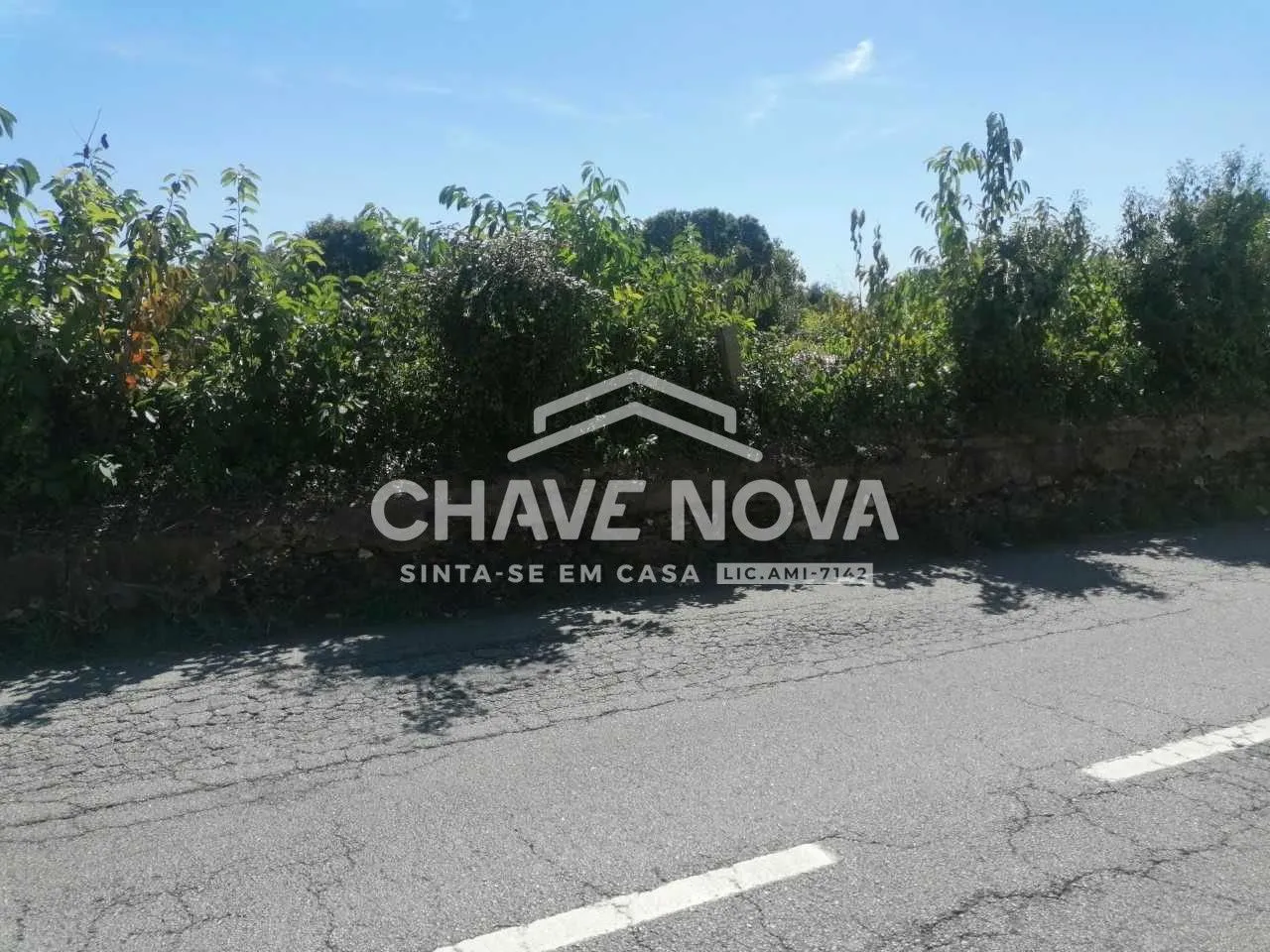 Terreno para construção em altura/ moradias com 5 670m². Esmoriz, Ovar - 3