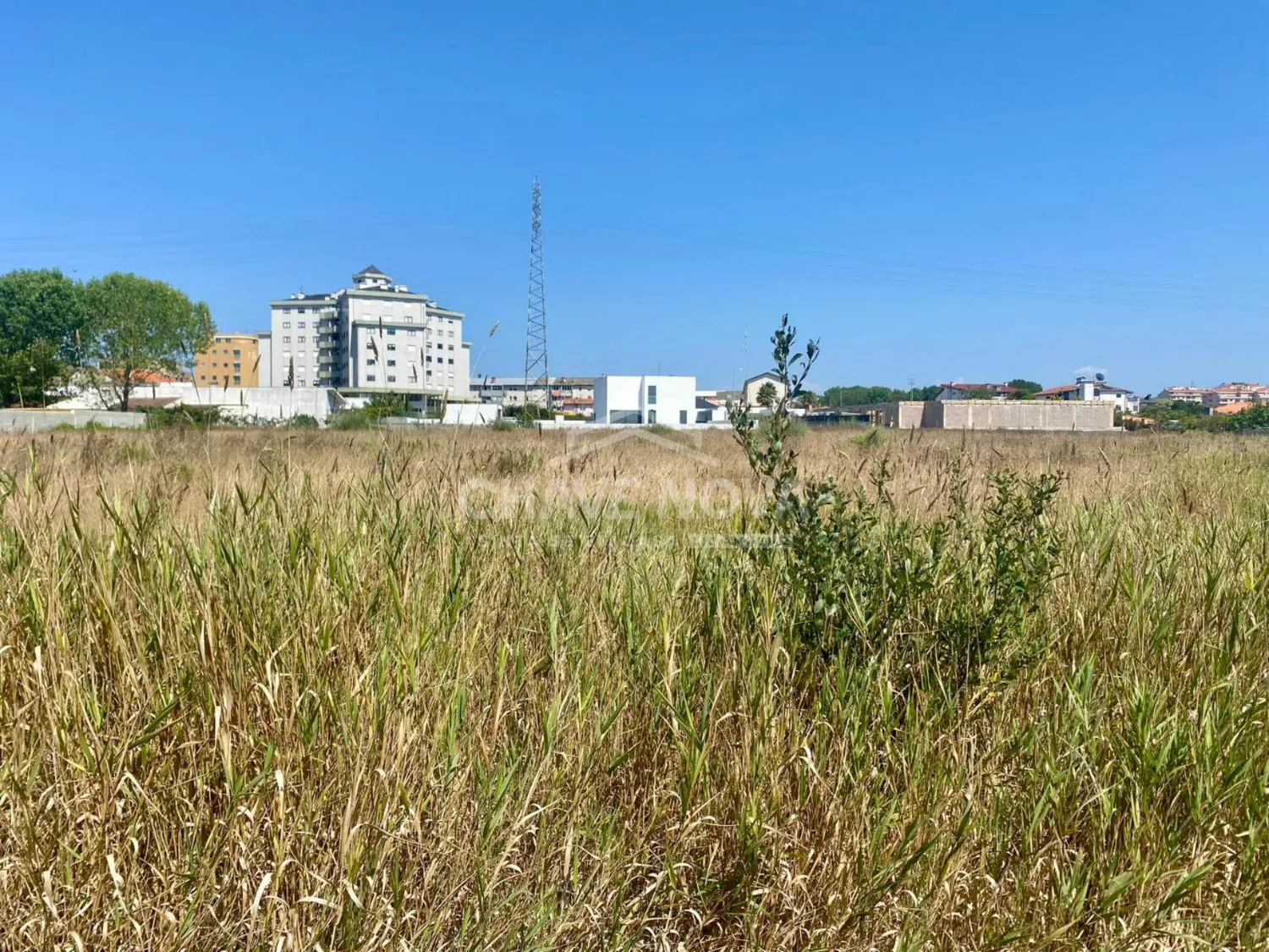  Terreno à Venda em Esmoriz  de 1600m2 – Perto da Avenida da Praia - 3