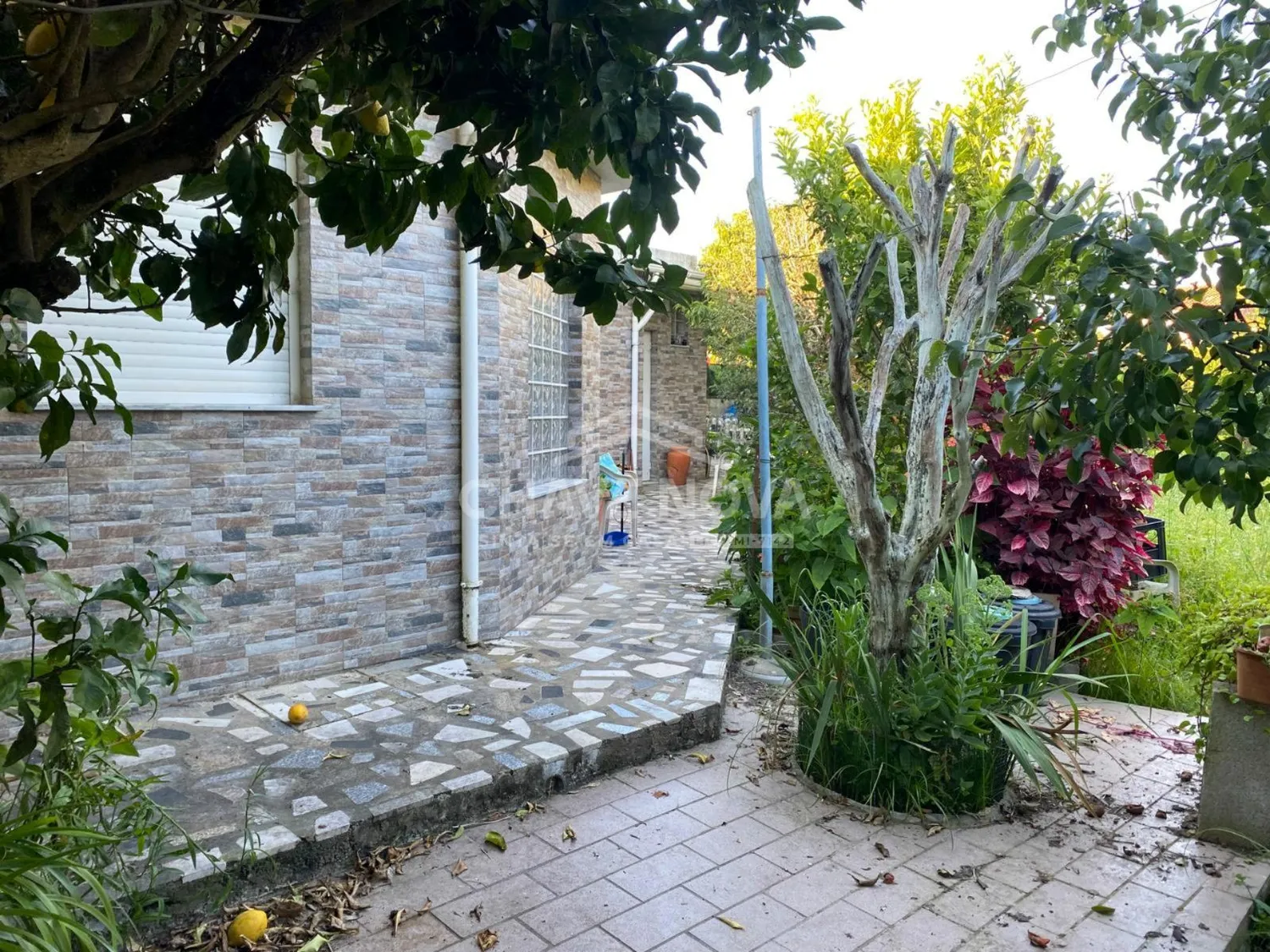 Terreno na Madalena com 1000m² murado 