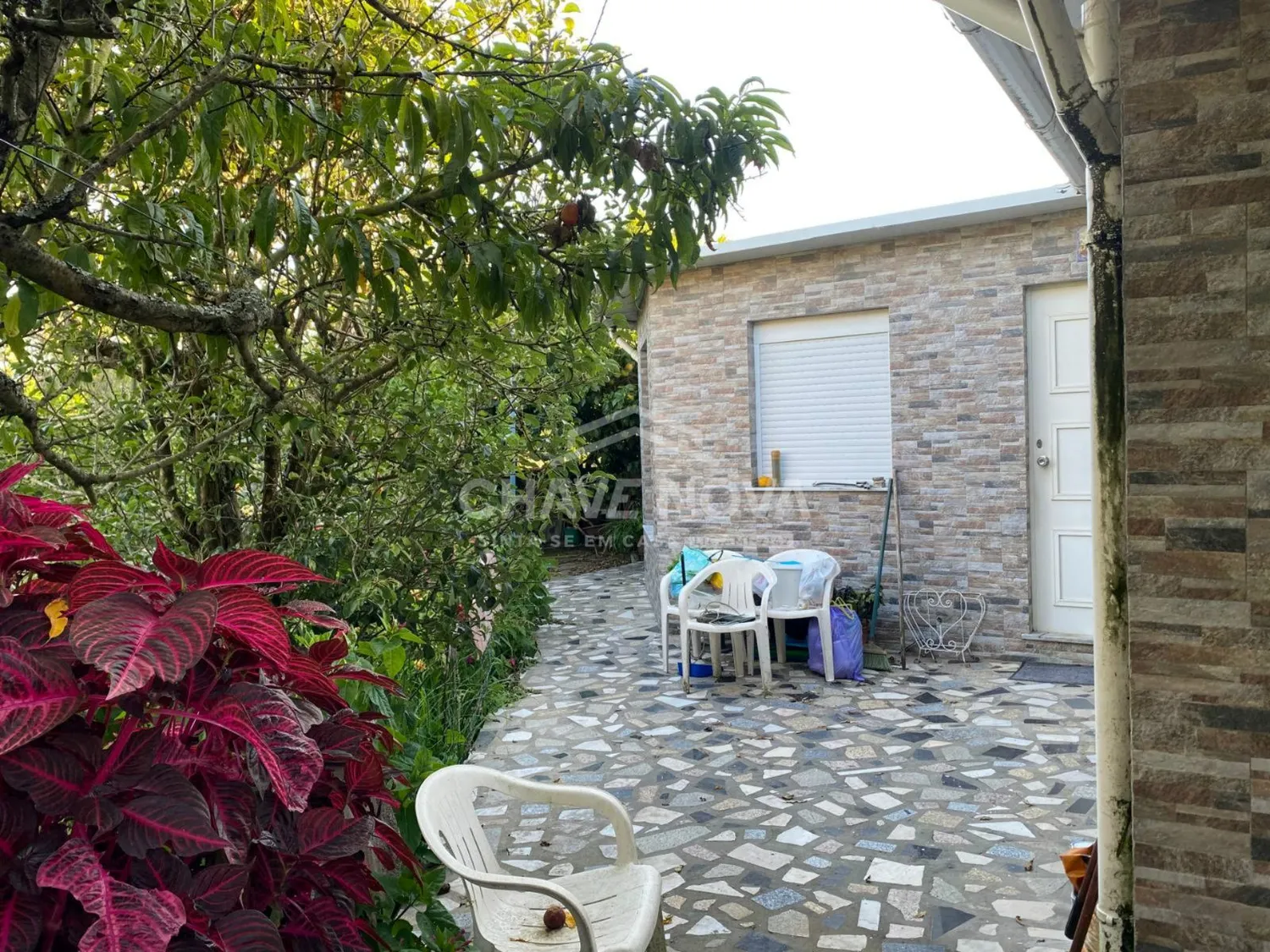 Terreno na Madalena com 1000m² murado  - 2