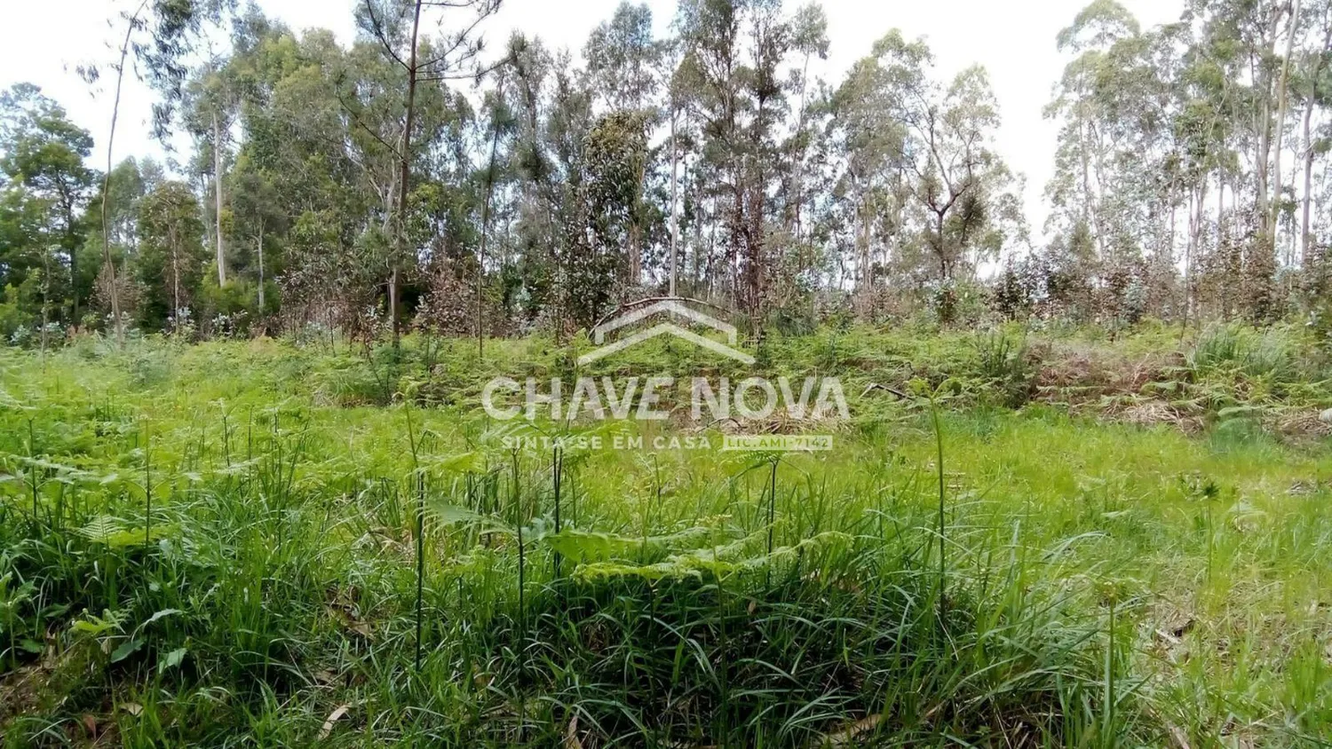 Terreno Rustico para  estaleiro 