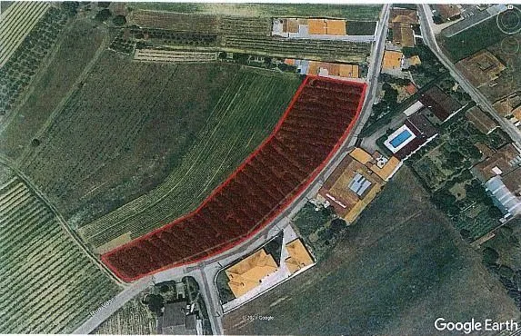 Terreno com 4195m2 em Oiã, Oliveira do Bairro