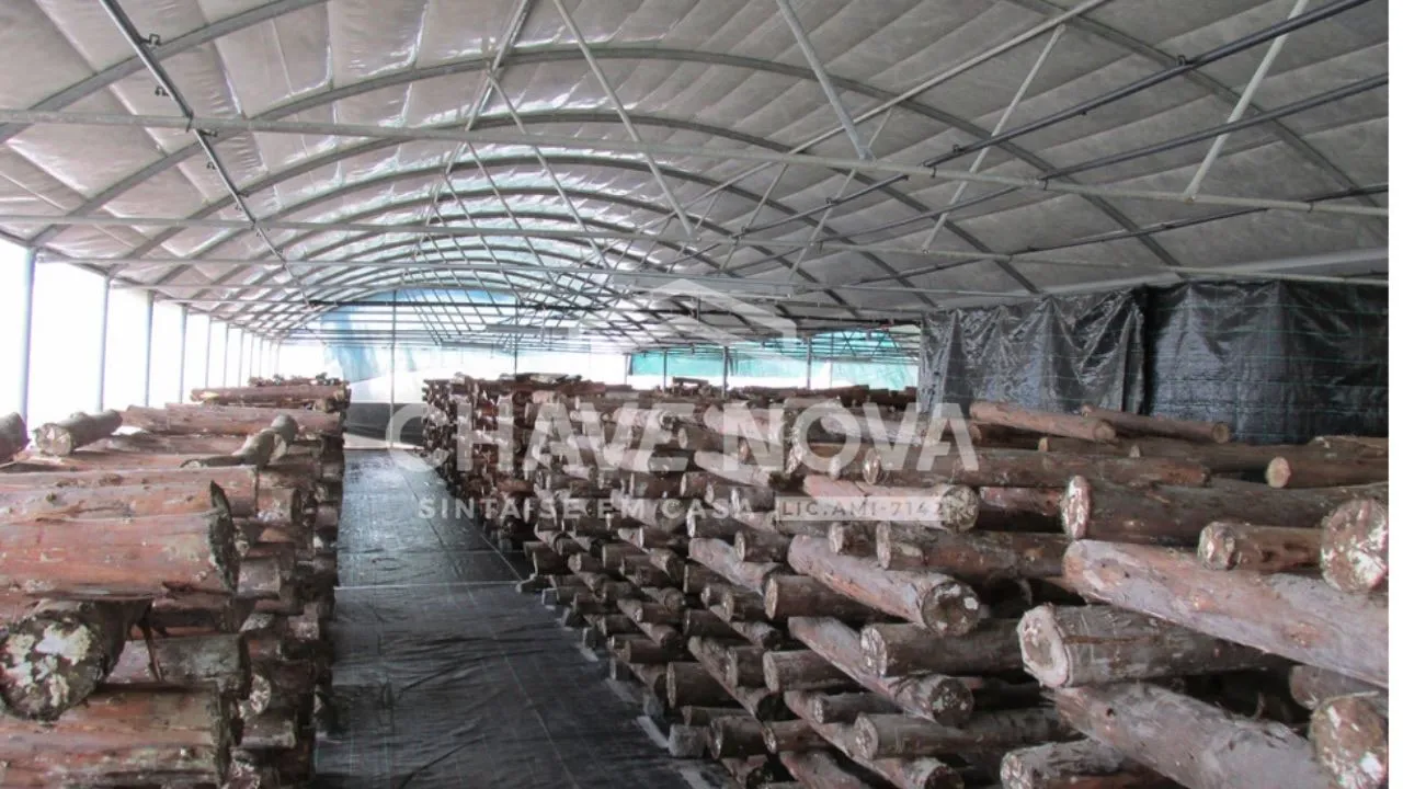 Quinta com Armazens/Estufas  de produção Cogumelos  - 2