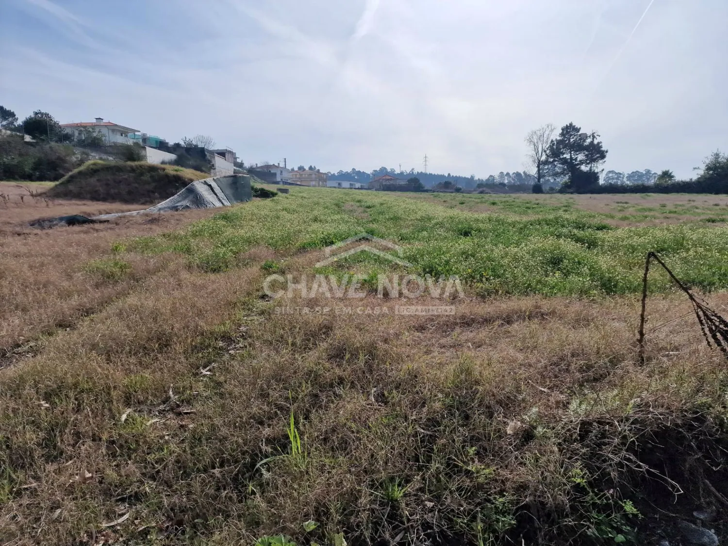 Terreno p/Loteamento (Viabilidade de 25 Lotes), Trofa (próximo Castelo da Maia) - 3