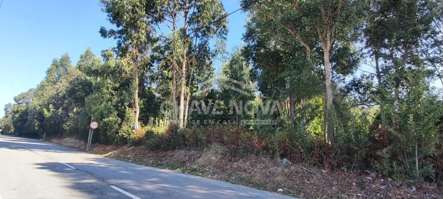 Terreno para construção em Esmoriz 