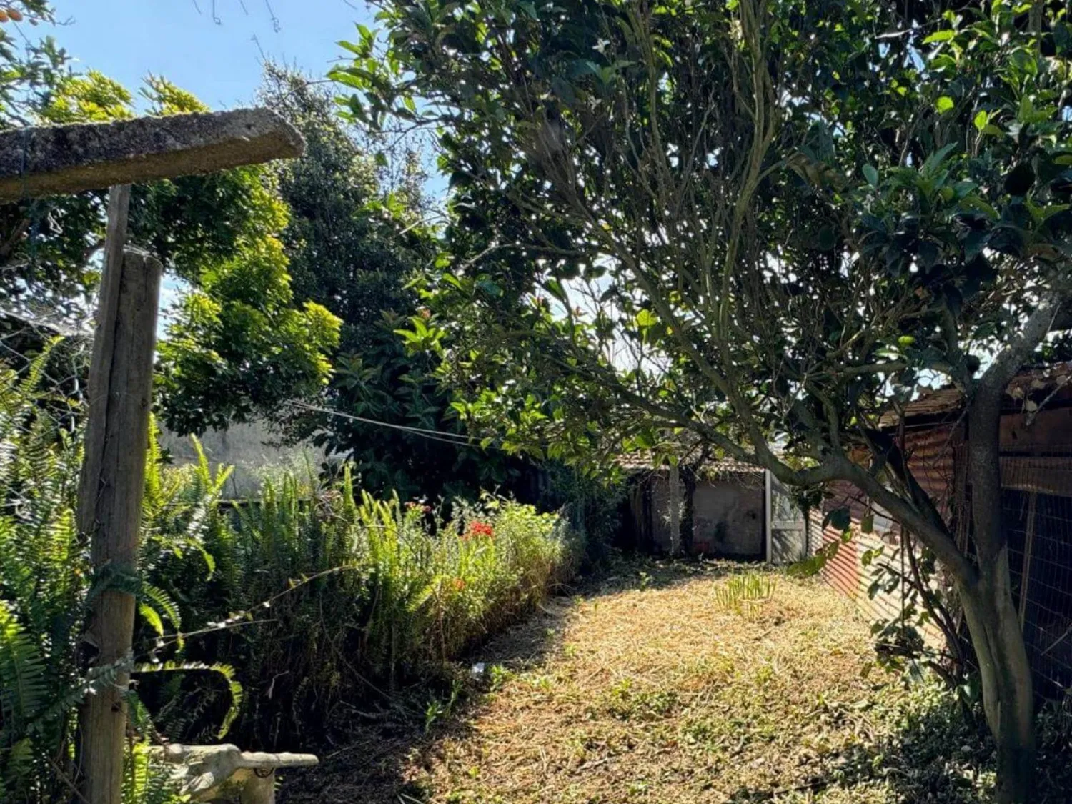 Moradia para Reconstrução em Espinho - 2