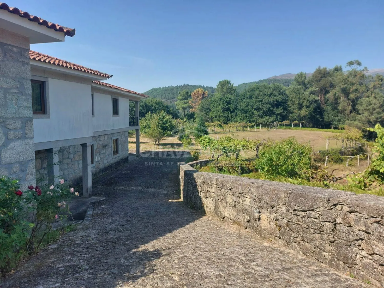 Quinta c/ terreno de 17.880mtrs2 | Arcos de Valdevez  - 2