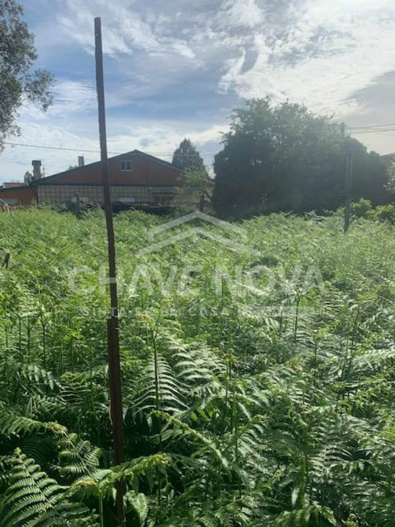 Terreno para construção de prédio em  Pedrouços ( próximo S João ) - 2
